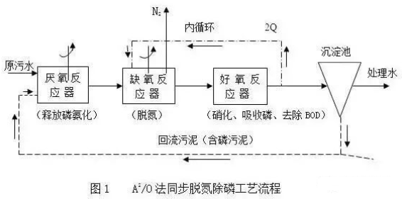 污水總氮去除方式.png